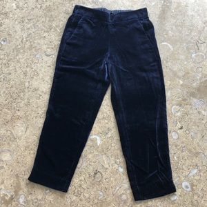 Navy blue velvet JCrew pant, brand new never worn.